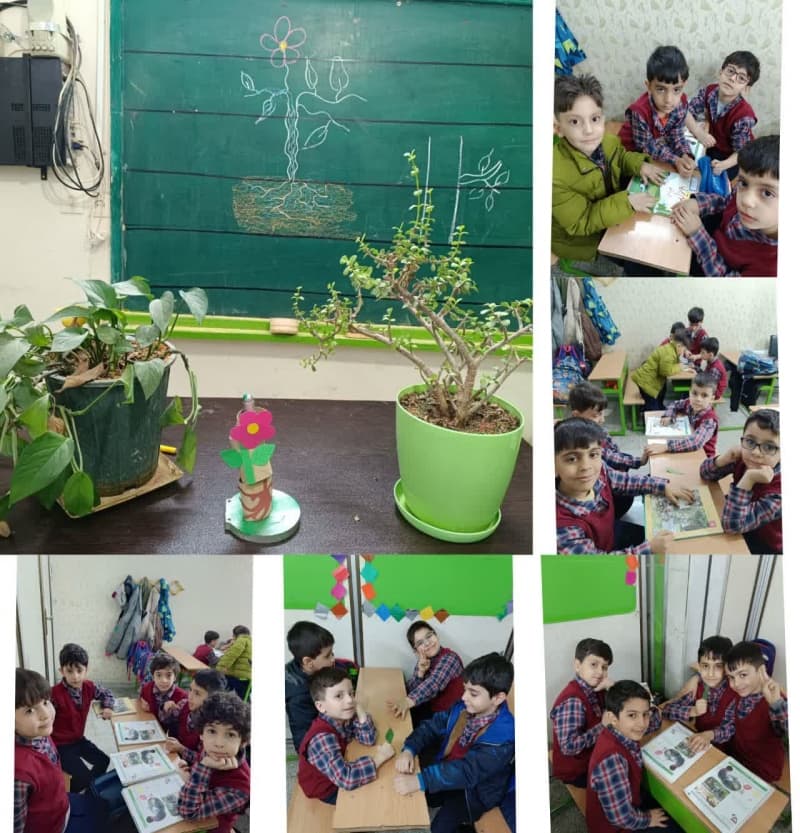   رشد گیاه علوم کلاس اول